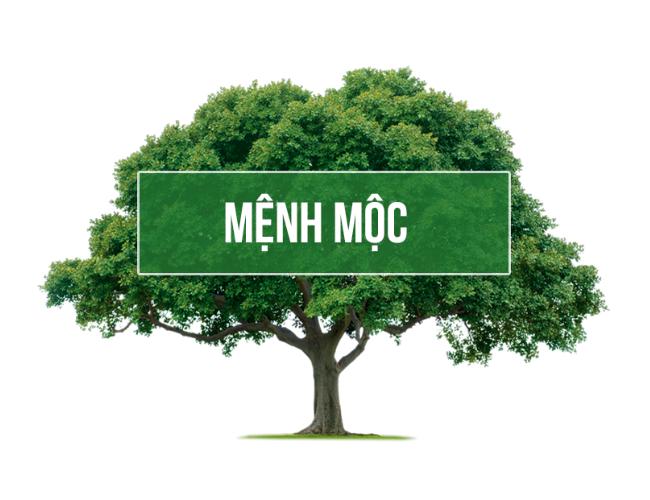 Mệnh Mộc