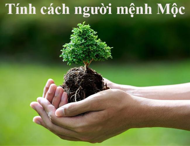 Tính cách người mệnh Mộc