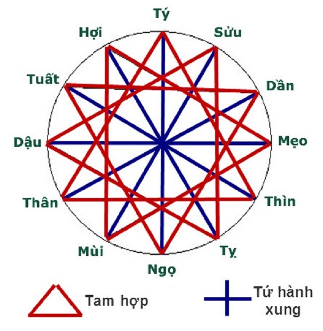 Bộ tam hợp và tứ hành xung trong 12 con giáp