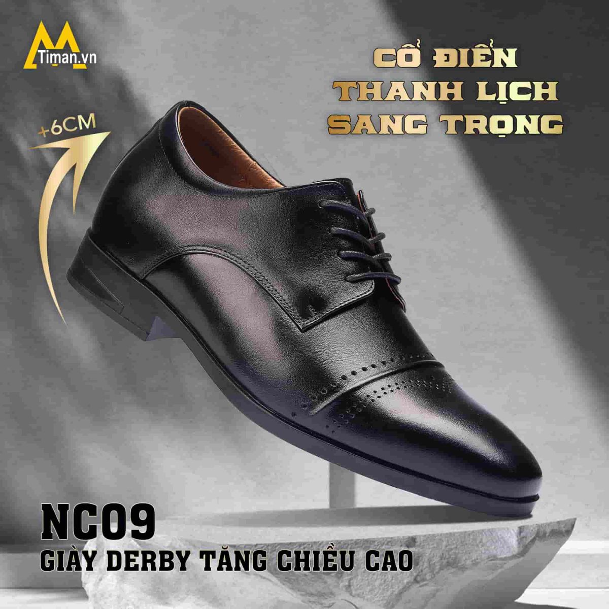 Giày casual nam NC09 cổ điển
