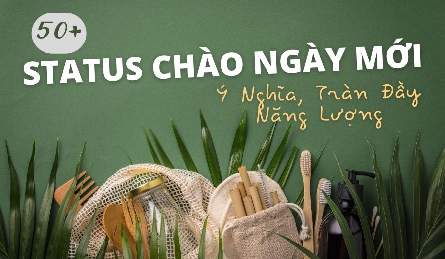 50+ Status Chào Ngày Mới Đầy Năng Lượng Ý Nghĩa Nhất