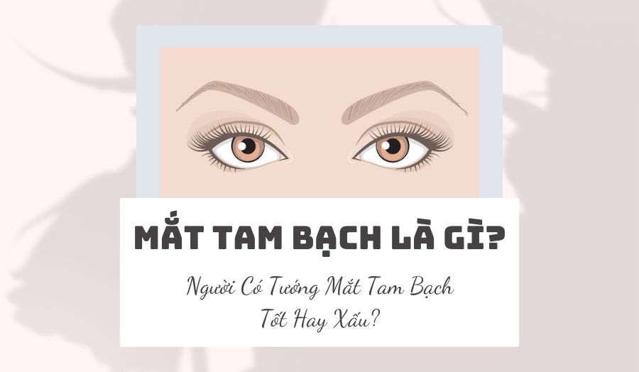 Mắt Tam Bạch Là Gì? Tướng Số Nam Nữ Sở Hữu Sướng Hay Khổ?