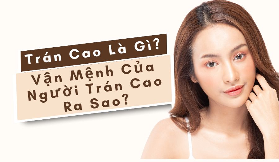 Trán Cao Là Gì? Vận Mệnh Của Người Trán Cao Ra Sao?