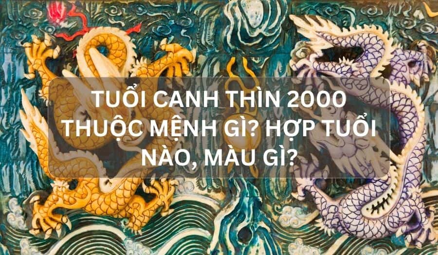 Tuổi Canh Thìn 2000 Thuộc Mệnh Gì? Hợp Tuổi Nào, Màu Gì?