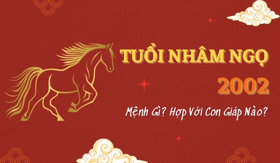 Tuổi Nhâm Ngọ 2002 Mệnh Gì? Hợp Với Con Giáp Nào?